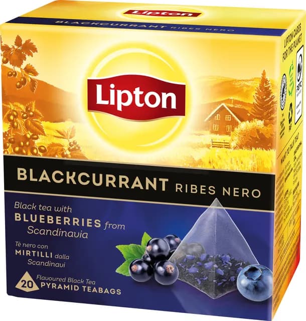 Lipton Svart Te Blackcurrant 20 st