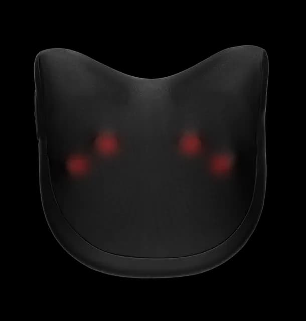 Flowlife Flowpillow Pro