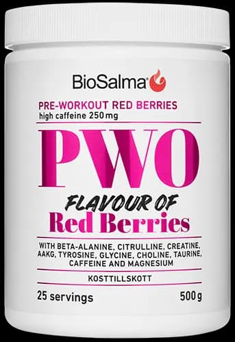 BioSalma PWO Red Berries 500 g