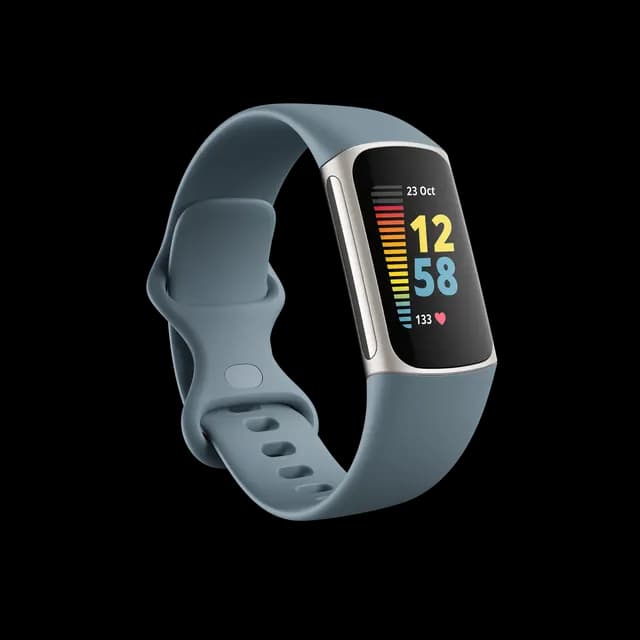 Fitbit Charge 5 Steel Blue / Platina