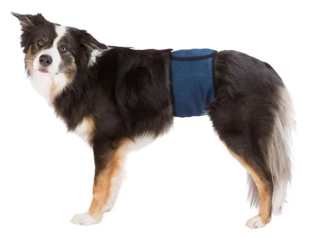 Trixie Hanhundsskydd M 45-55 cm Mörkblå