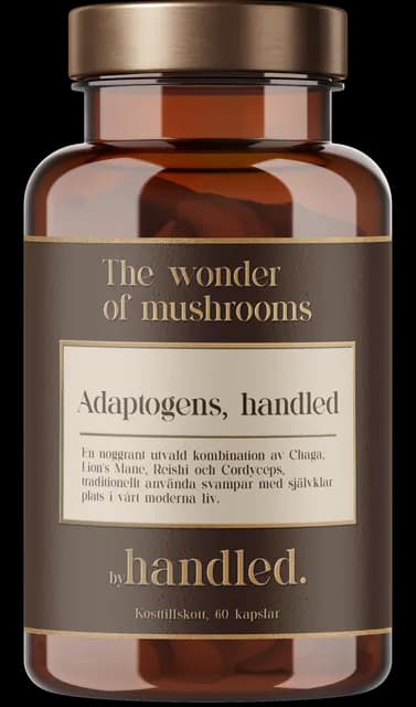 By Handled The wonder of Mushrooms 60 kapslar