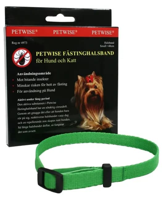 Petwise Fästinghalsband för hund small
