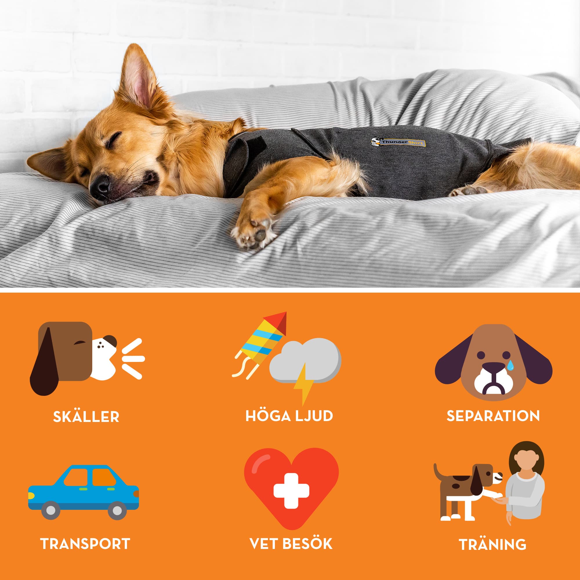 Thundershirt Trygghetsskapande Tröja M 5