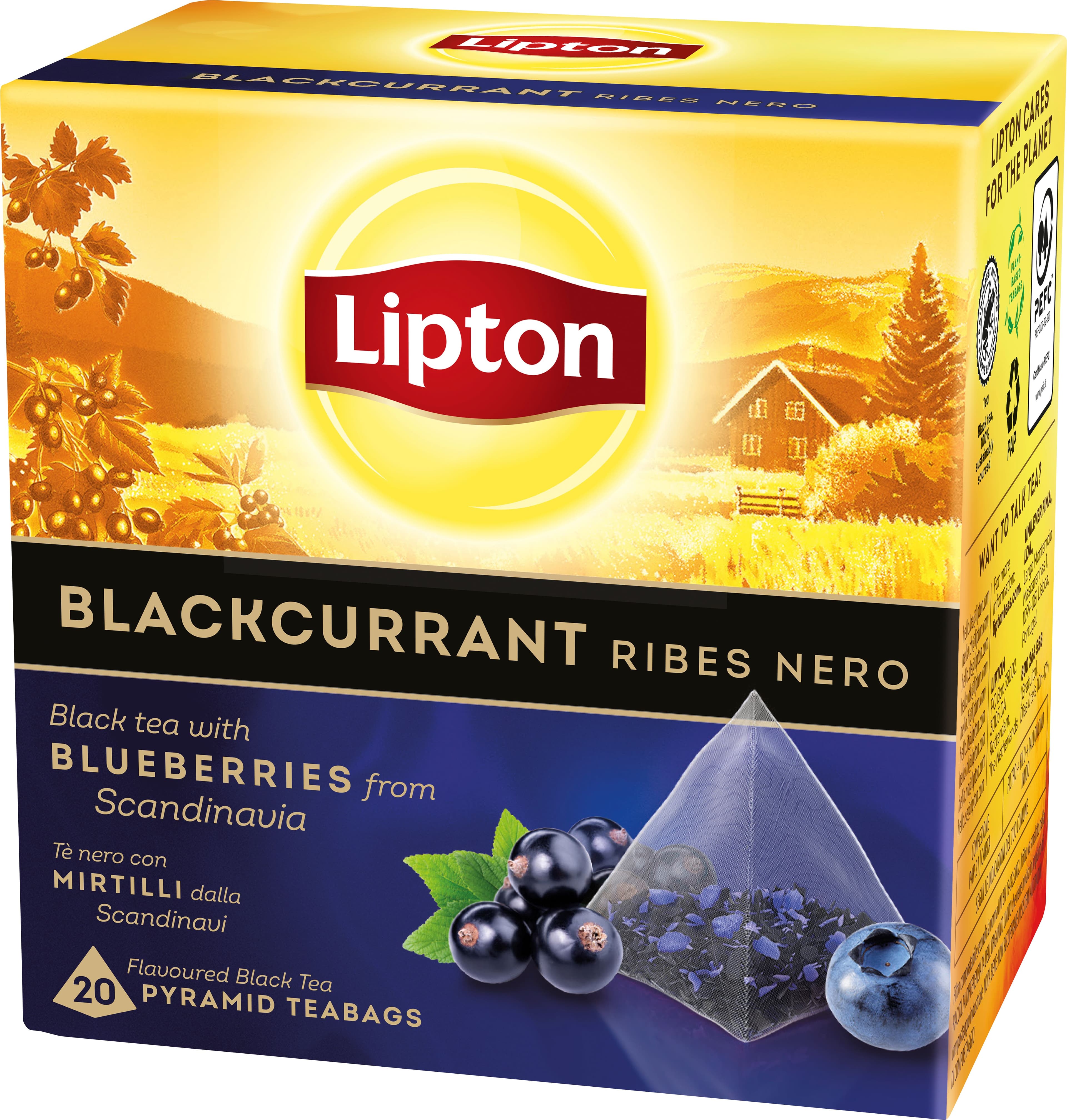 Lipton Svart Te Blackcurrant 20 st