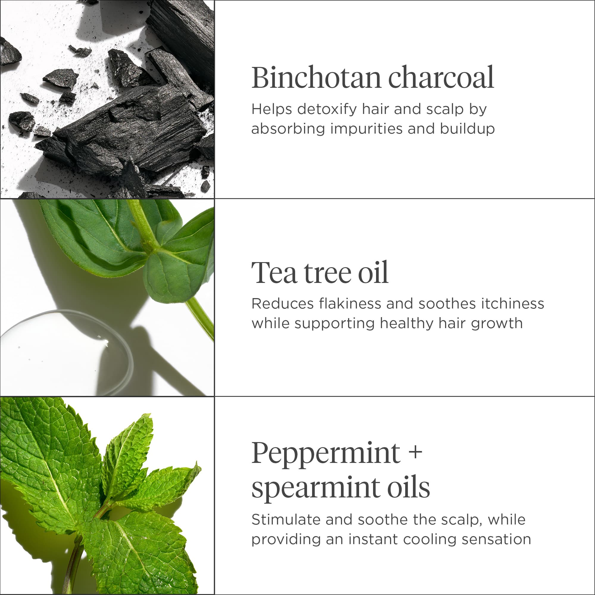 Briogeo Scalp Revival Charcoal + Tea Tree Cooling Hydration Mask 177 ml 3