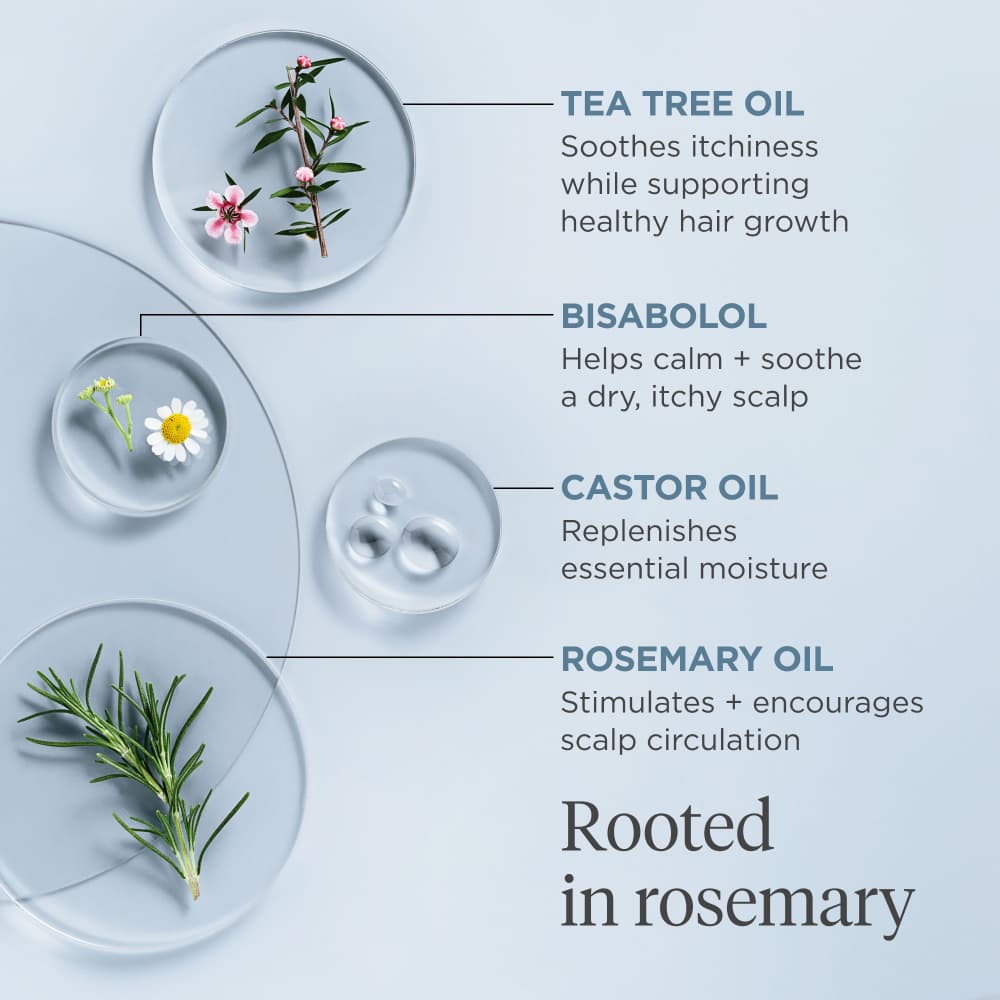 Briogeo Scalp Revival Rosemary Pre-wash Oil 100 ml 4
