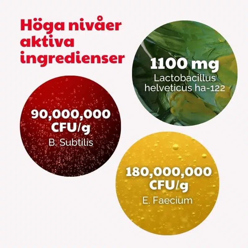 BuddyCare Probiotic 150 g 3