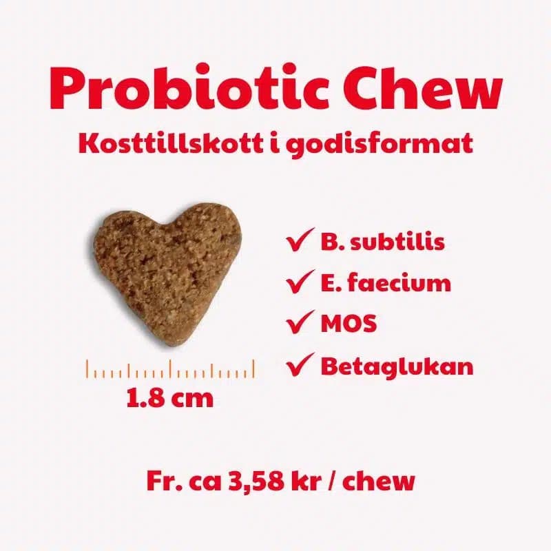 BuddyCare Probiotic 150 g 5