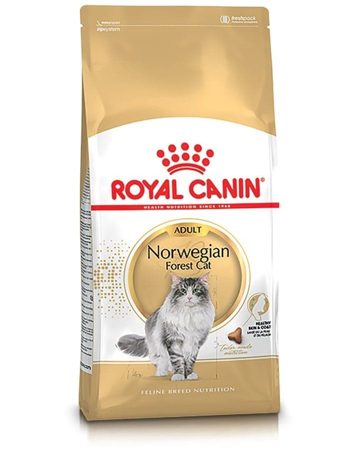 Royal Canin Norwegian Forest Cat Adult Torrfoder för Katt 2 kg - produktbild 2