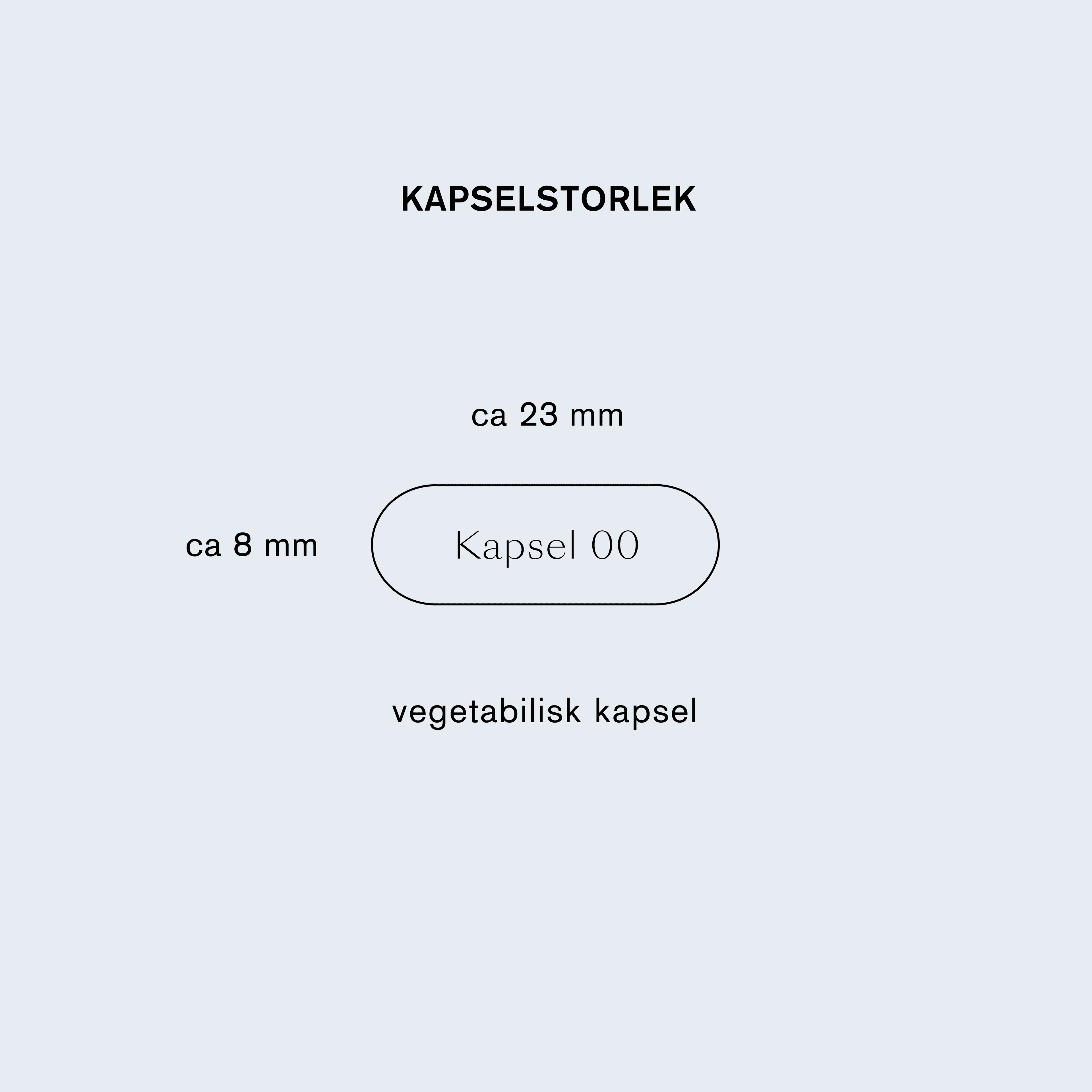 Holistic MultiVitamin 90 kapslar 2