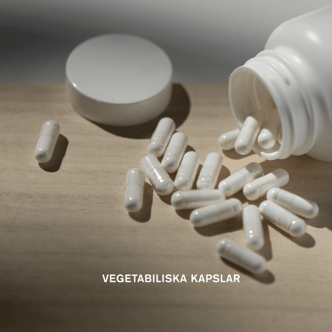 Holistic MultiVitamin 90 kapslar 5