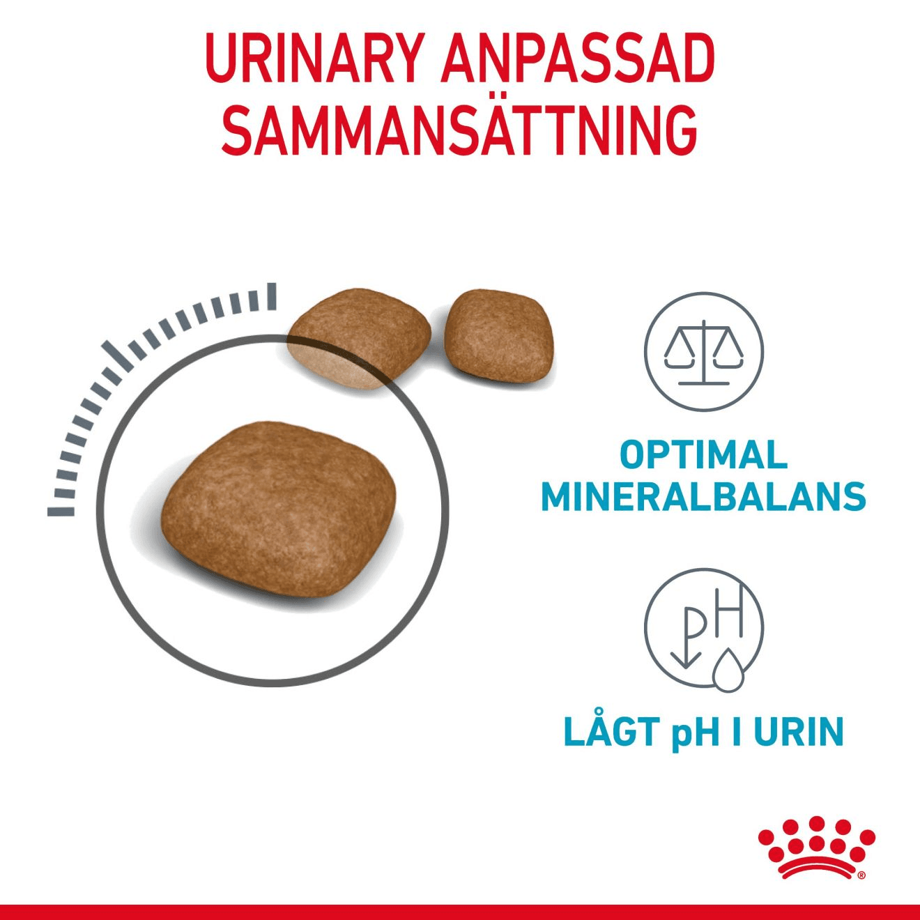 Royal Canin Urinary Care Adult Torrfoder för Katt 10 kg - produktbild 4