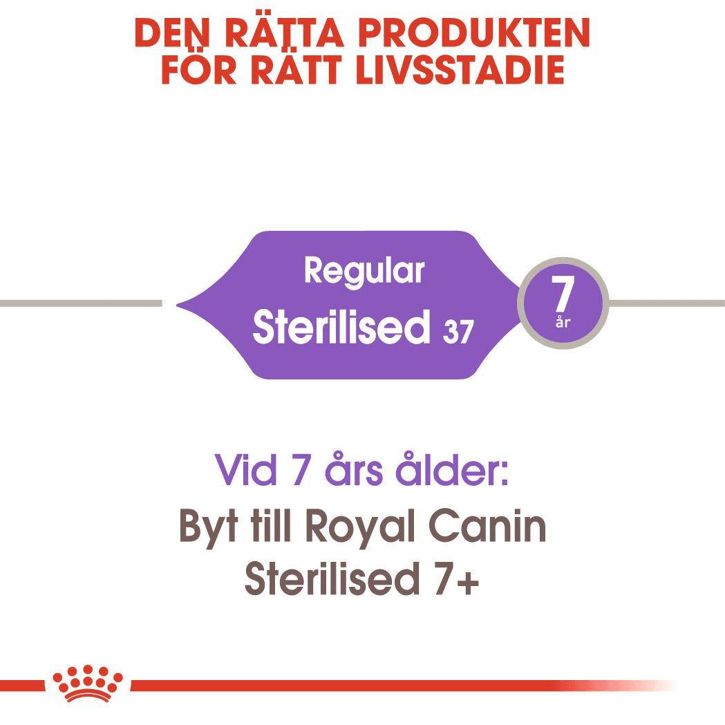 Royal Canin Sterilised Adult Torrfoder för Katt 10 kg - produktbild 3