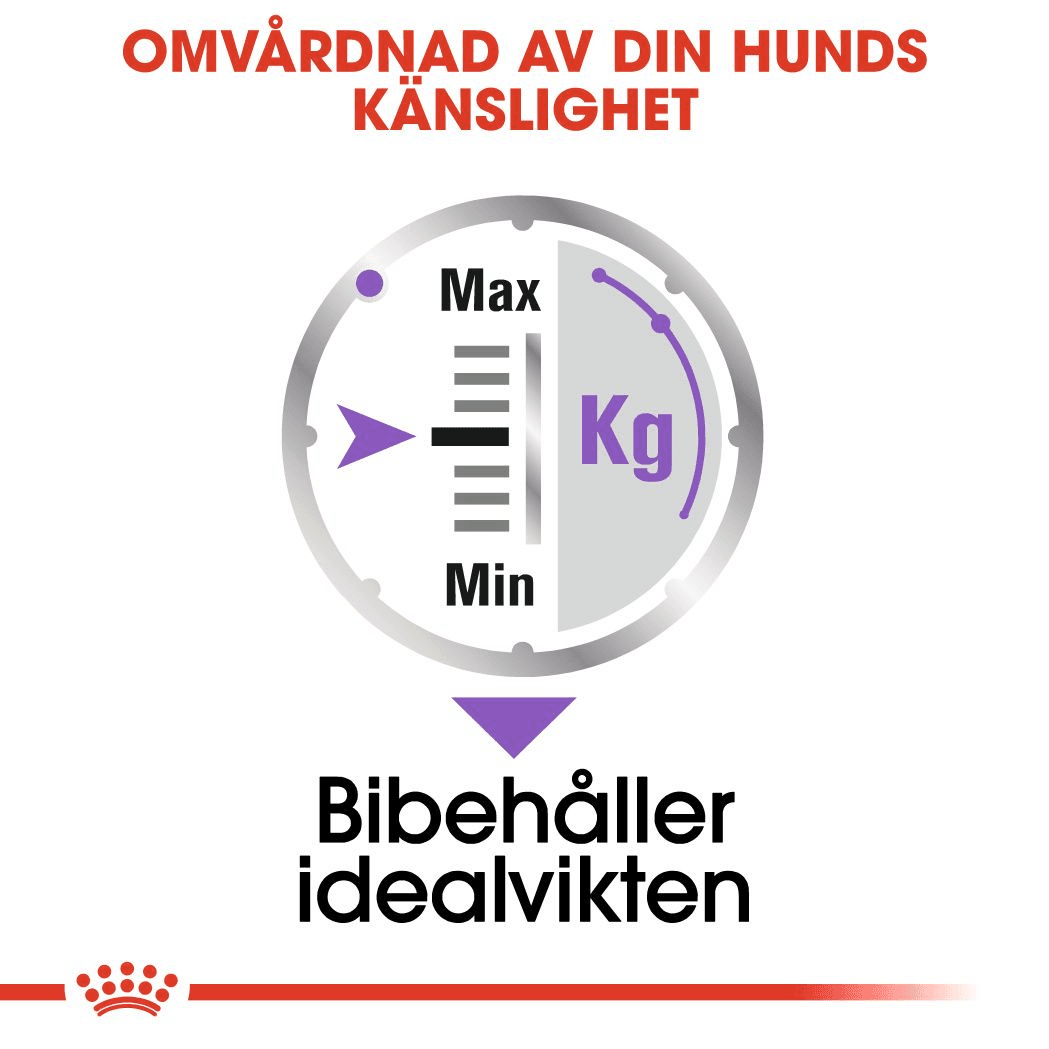 Royal Canin Sterilised Adult Loaf Våtfoder för Hund 1,02 kg - produktbild 4