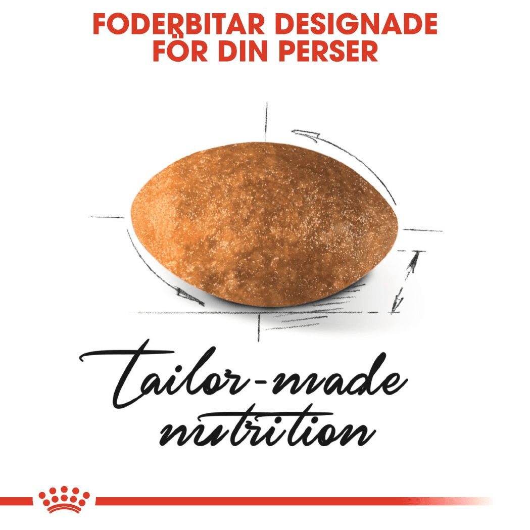 Royal Canin Persian Adult Torrfoder för Katt 2 kg - produktbild 5