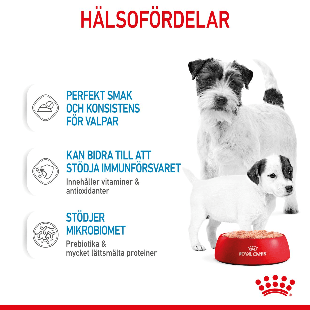 Royal Canin Mother & Babydog Starter Mousse Våtfoder för Hund & Hundvalp 2,34 kg - produktbild 3