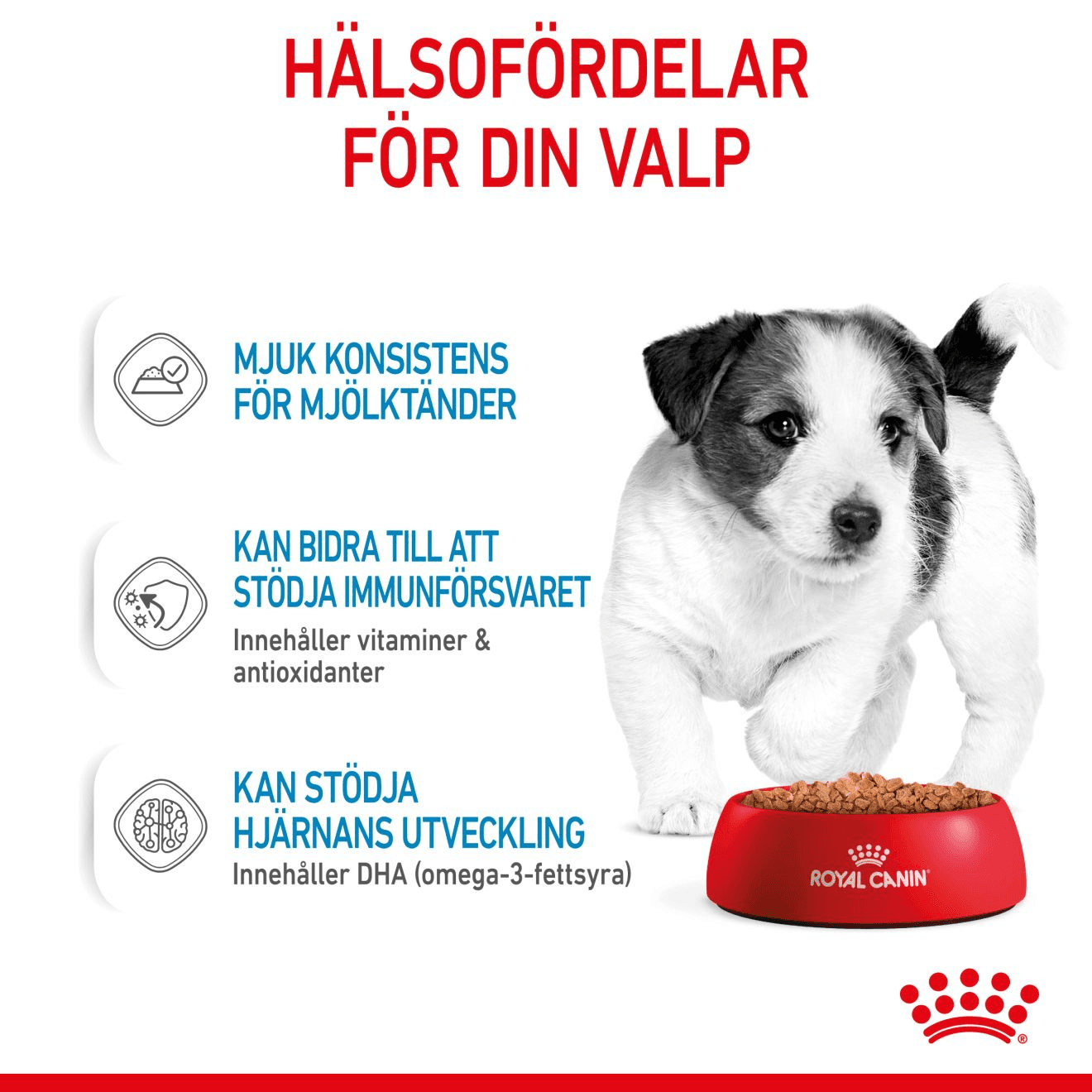 Royal Canin Mini Puppy Våtfoder för Hundvalp 1,02 kg - produktbild 4