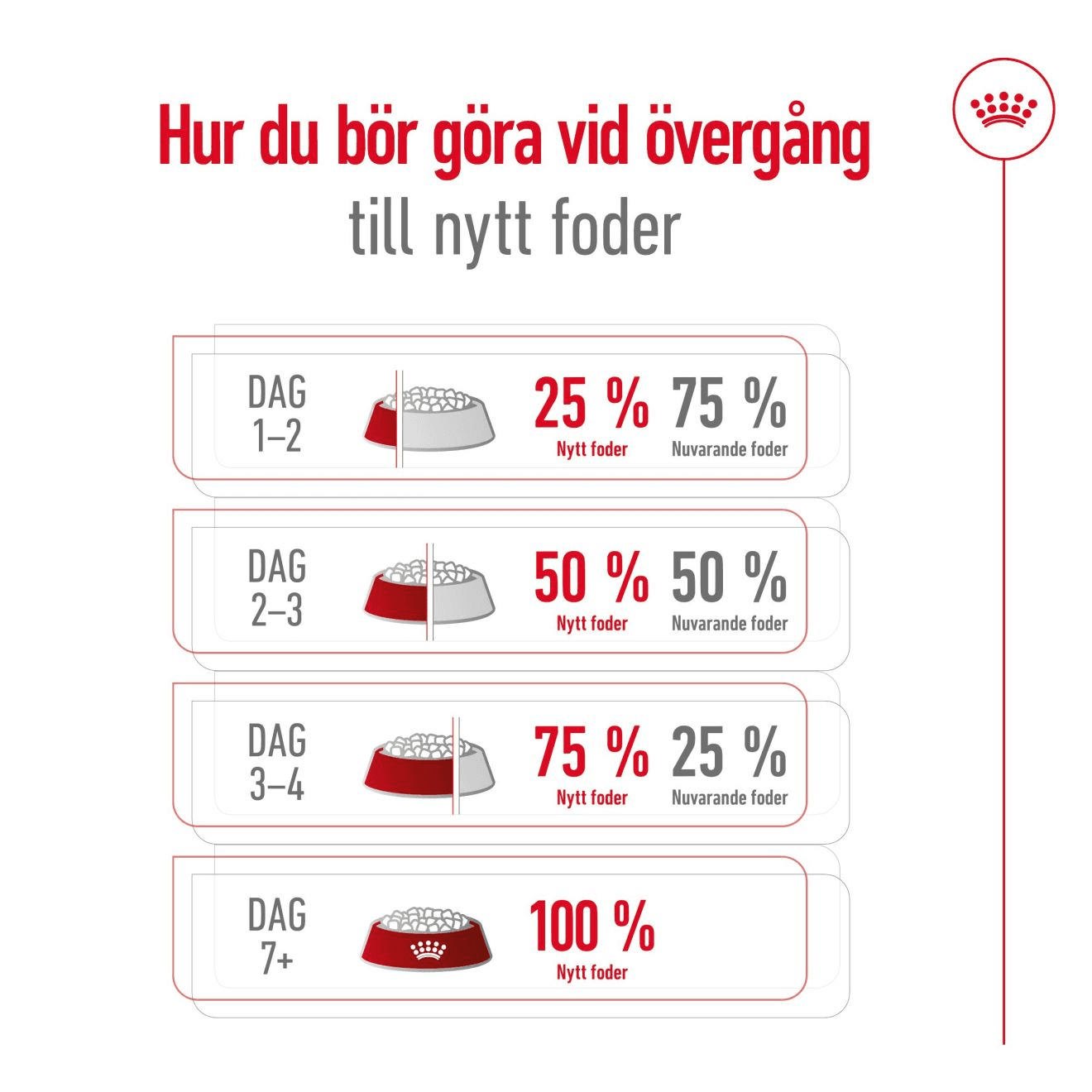 Royal Canin Mini Ageing 12+ Torrfoder för Hund 3,5 kg - produktbild 3