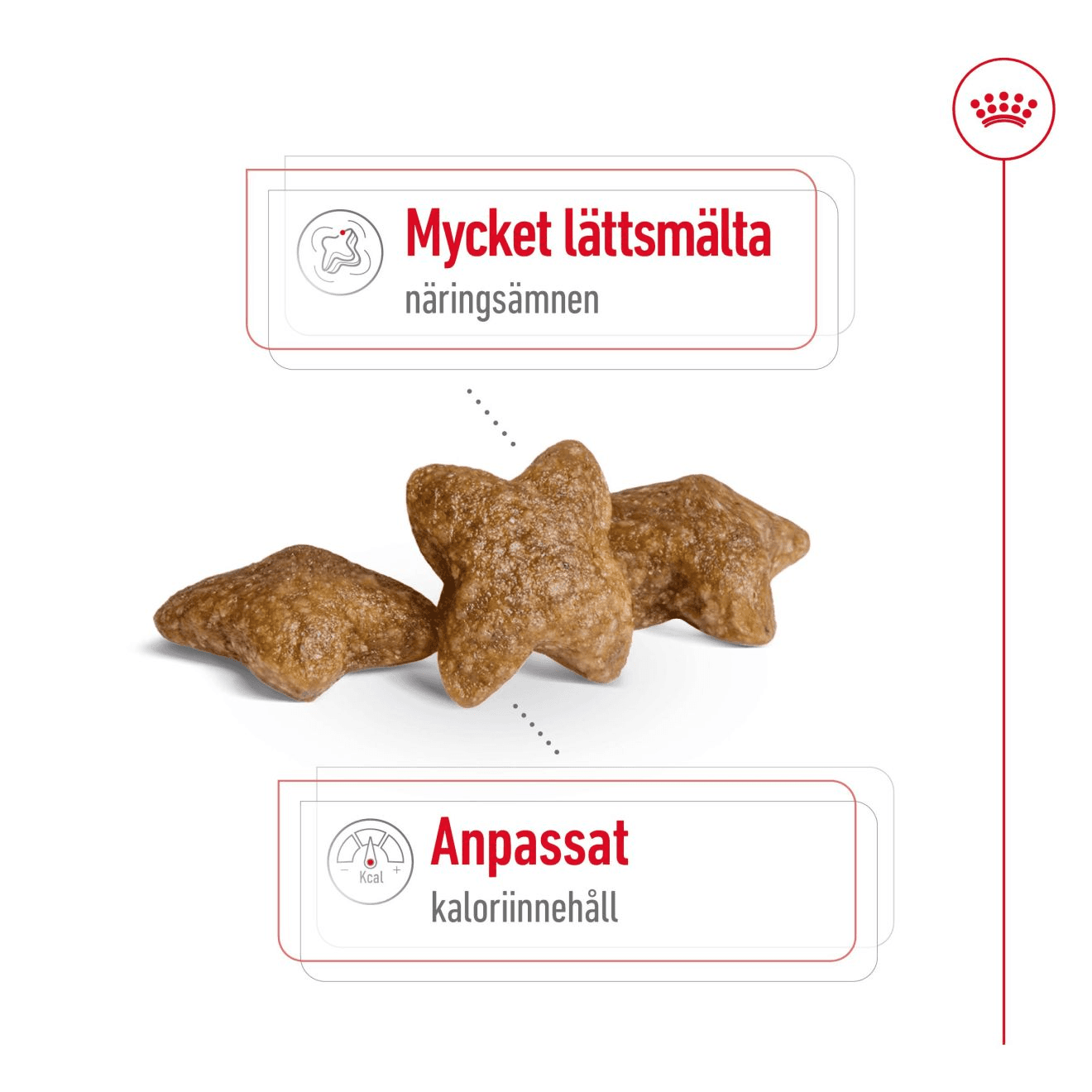 Royal Canin Mini Adult Torrfoder för Hund 8 kg - produktbild 3