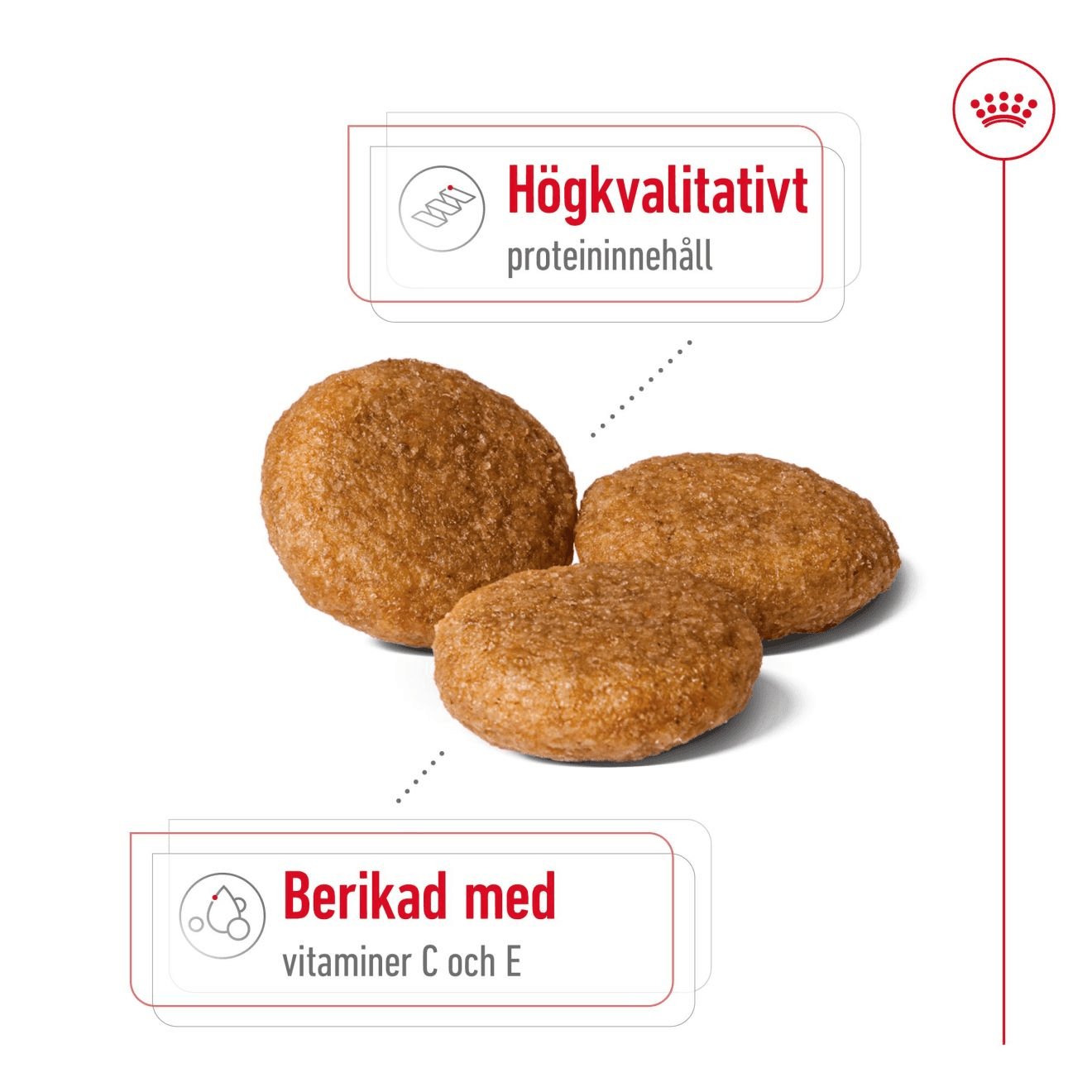 Royal Canin Medium Adult Torrfoder för Hund 4 kg - produktbild 3