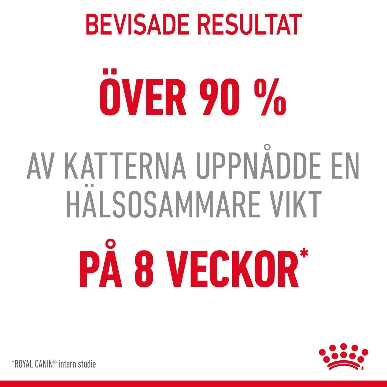 Royal Canin Light Weight Care Adult Torrfoder för Katt 3 kg - produktbild 3