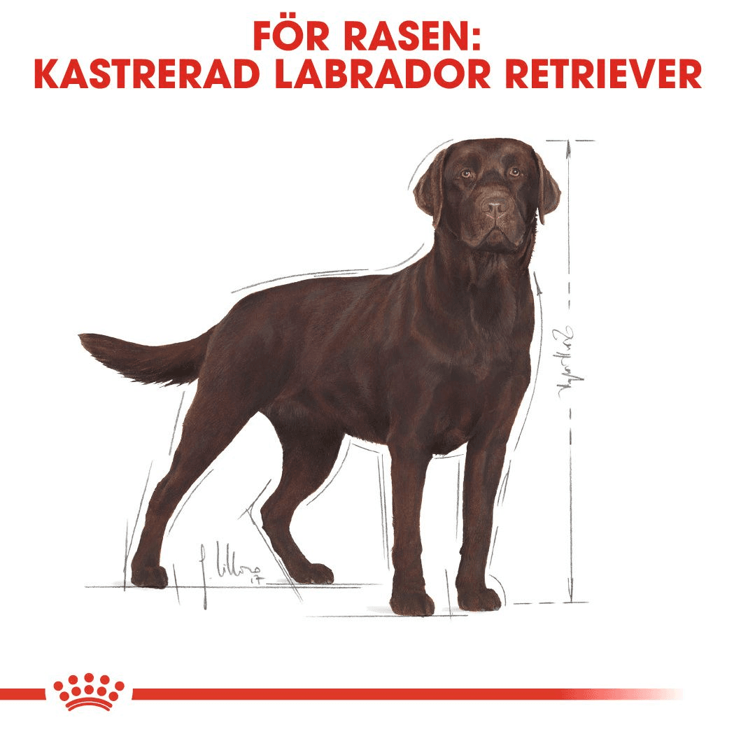 Royal Canin Labrador Retriever Sterilised Adult Torrfoder för Hund 12 kg - produktbild 4