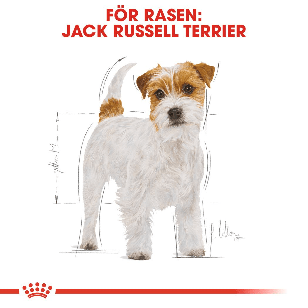 Royal Canin Jack Russel Adult Torrfoder för Hund 7,5 kg - produktbild 4