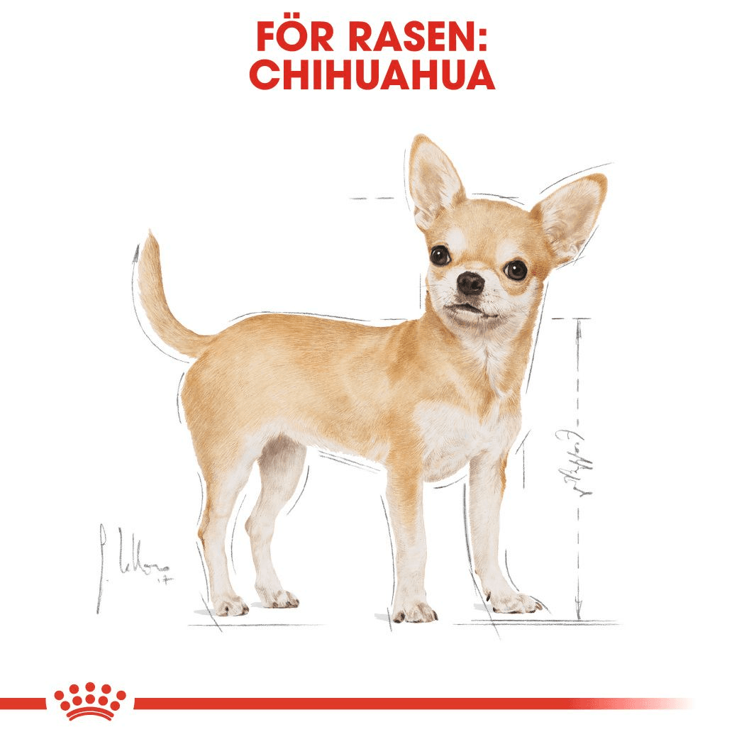 Royal Canin Chihuahua Adult Loaf Våtfoder för Hund 1,02 kg - produktbild 4