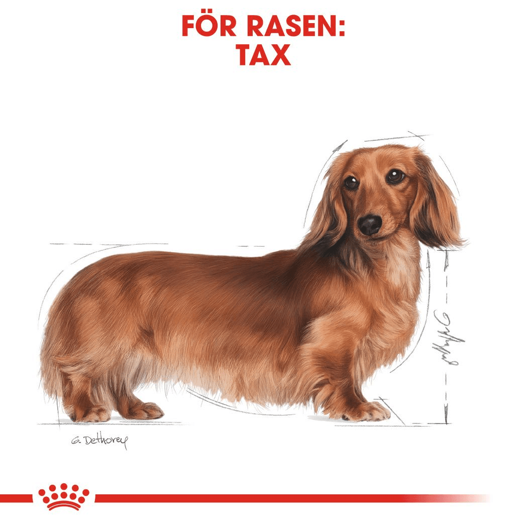 Royal Canin Dachshund Adult Torrfoder för Hund 7,5 kg 4