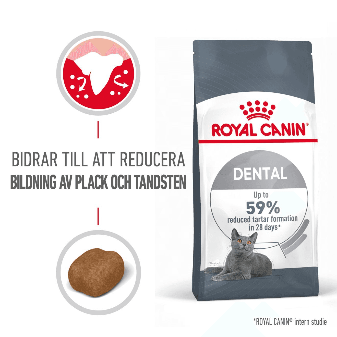 Royal Canin Dental Care Adult Torrfoder för Katt 8 kg