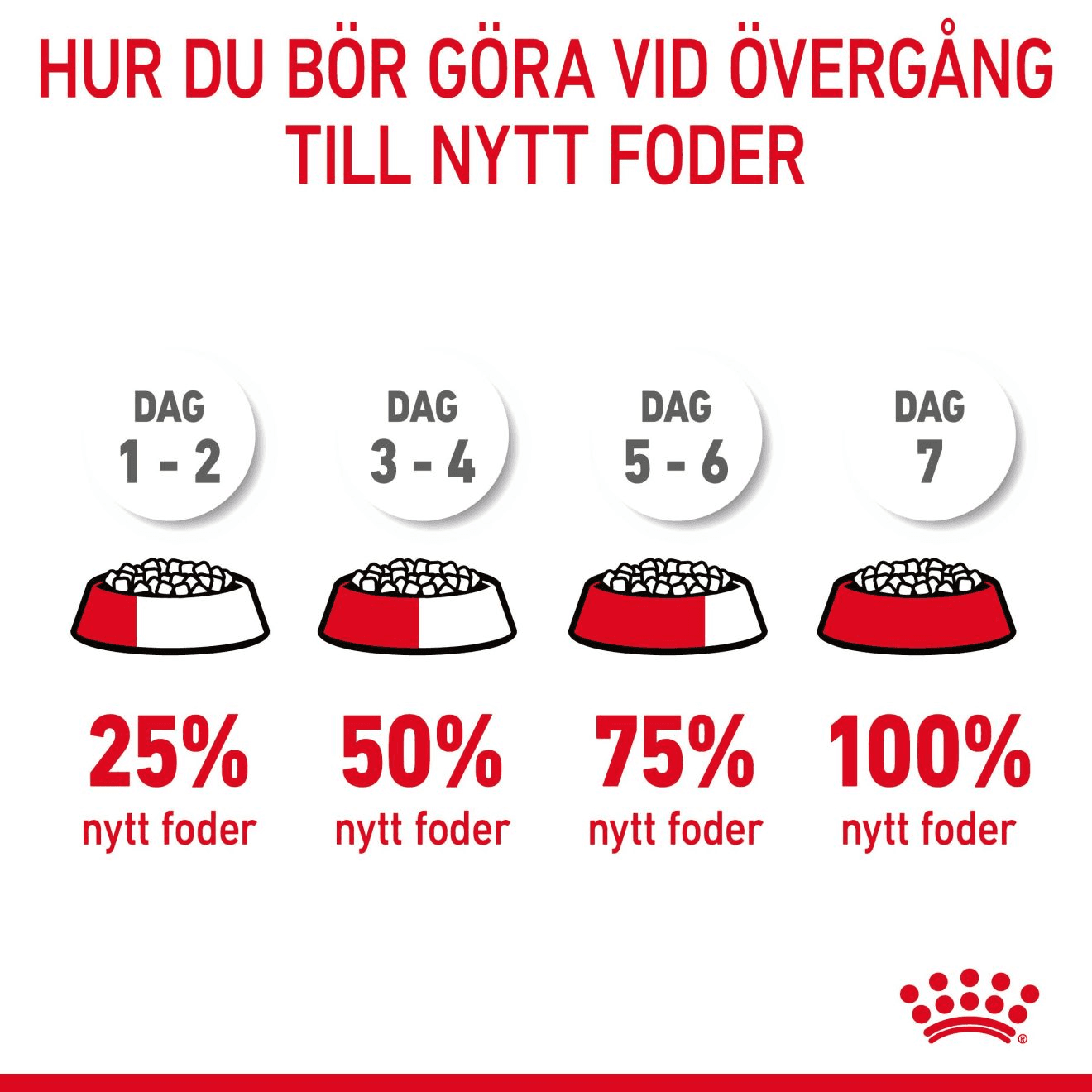 Royal Canin Dental Care Adult Torrfoder för Katt 8 kg - produktbild 4