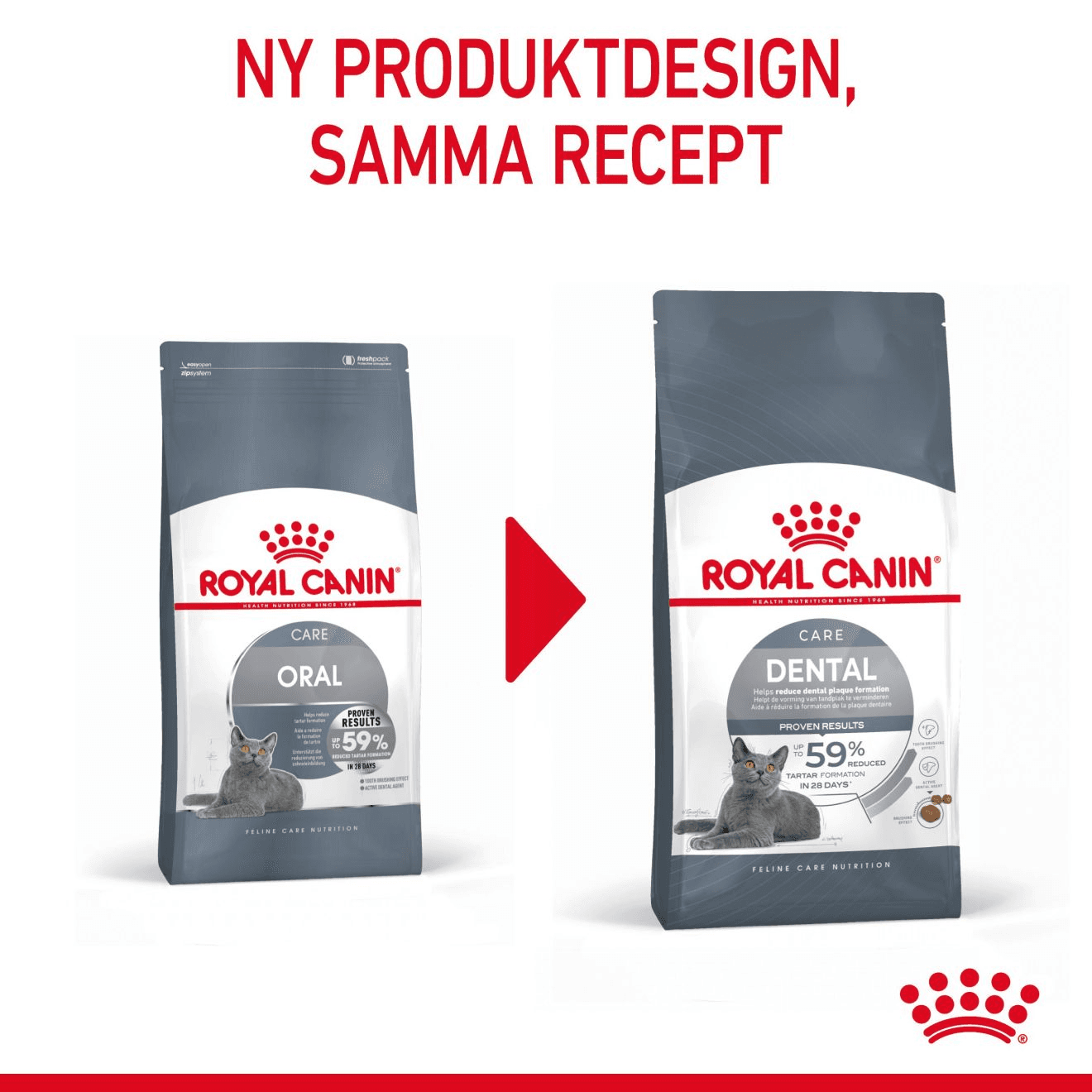 Royal Canin Dental Care Adult Torrfoder för Katt 8 kg - produktbild 5