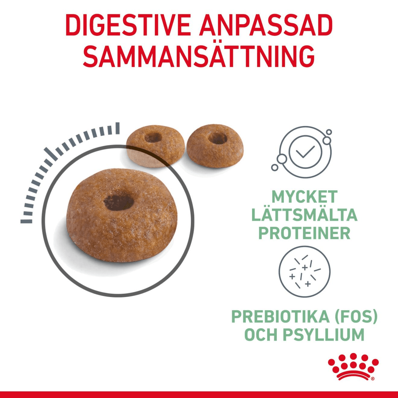 Royal Canin Digestive Care Adult Torrfoder för Katt 10 kg - produktbild 3