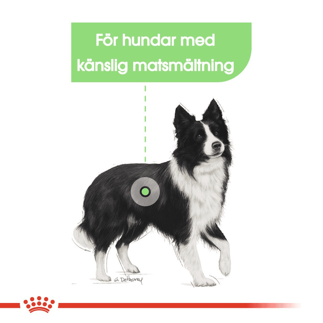 Royal Canin Digestive Care Medium Adult Torrfoder för Hund 12 kg - produktbild 4