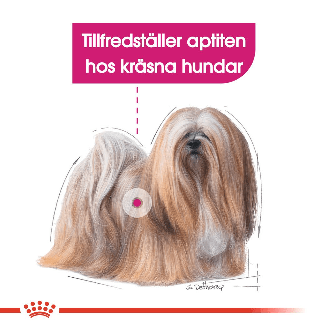 Royal Canin Exigent Mini Adult Torrfoder för Hund 3 kg 5