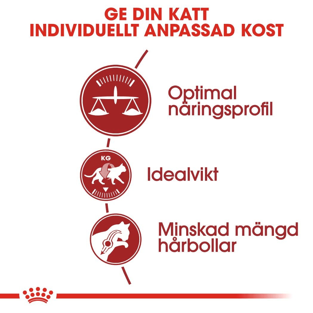 Royal Canin Fit Adult Torrfoder för Katt 10 kg - produktbild 3