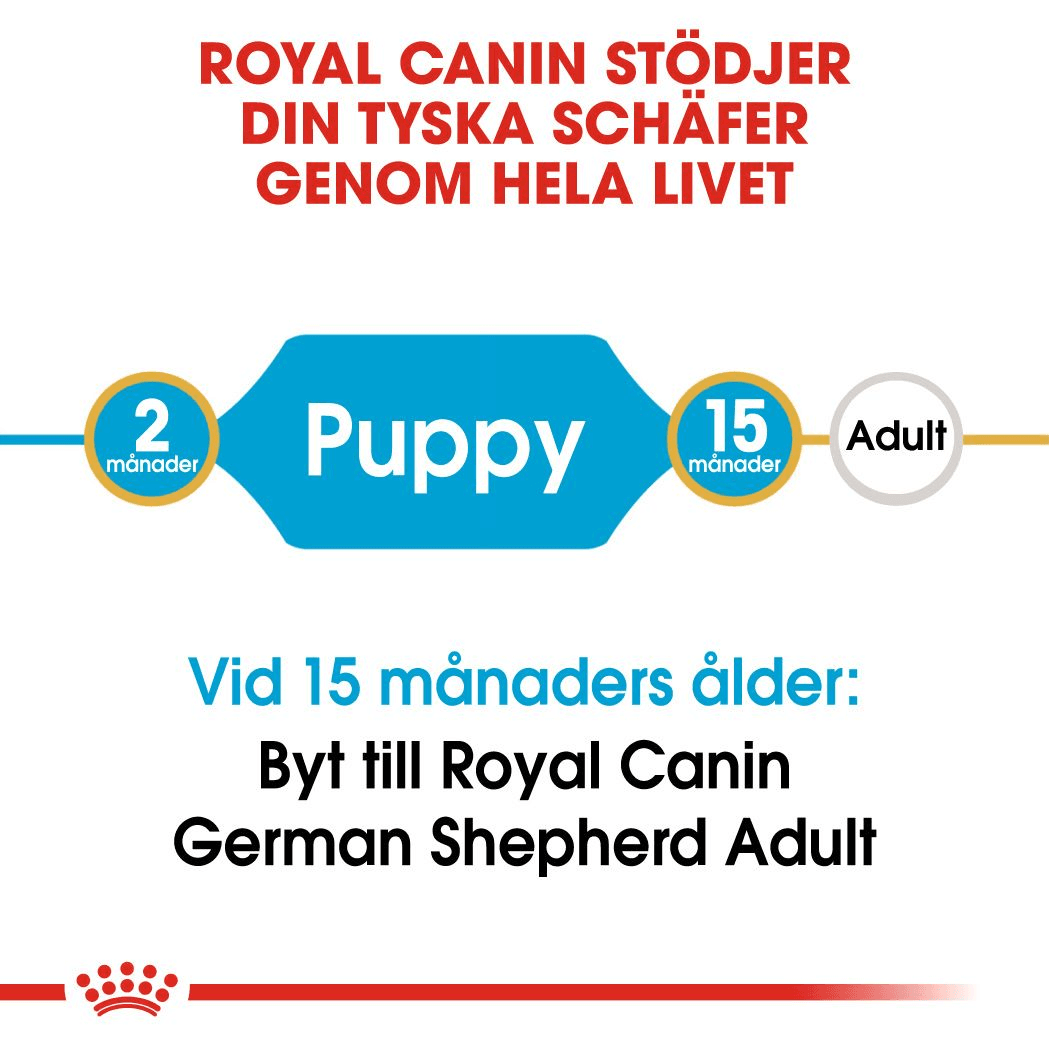 Royal Canin German Shepherd Puppy Torrfoder för Hundvalp 12 kg - produktbild 4