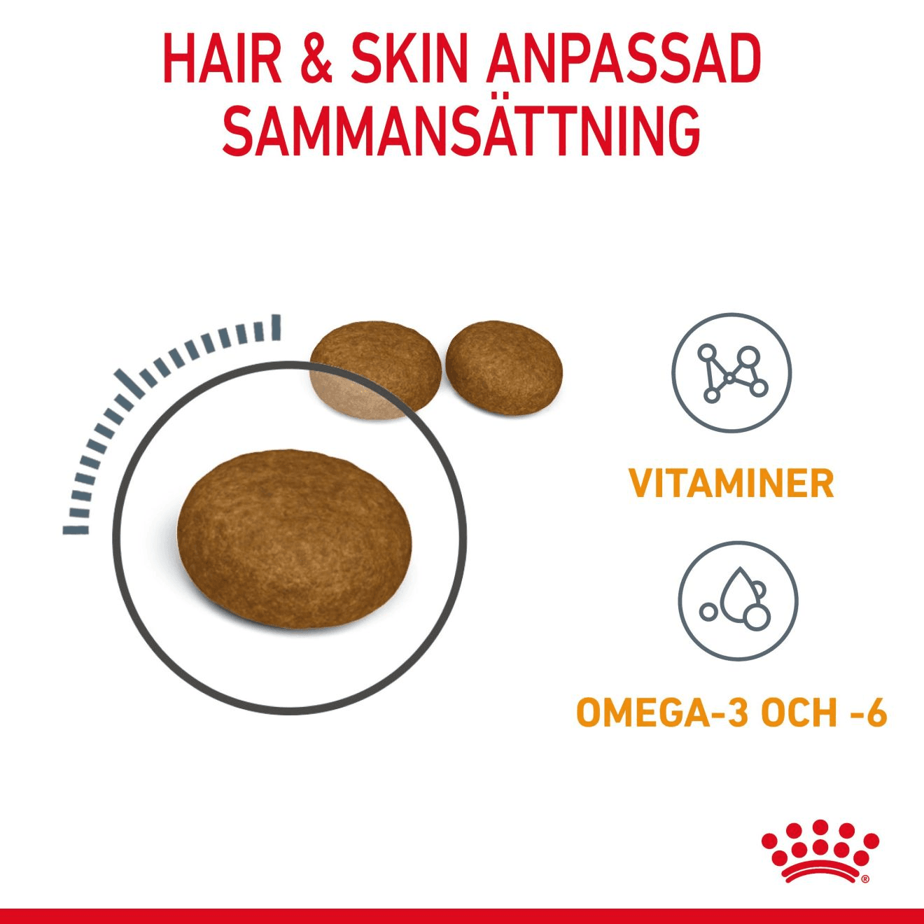 Royal Canin Hair & Skin Care Adult Torrfoder för Katt 4 kg - produktbild 5