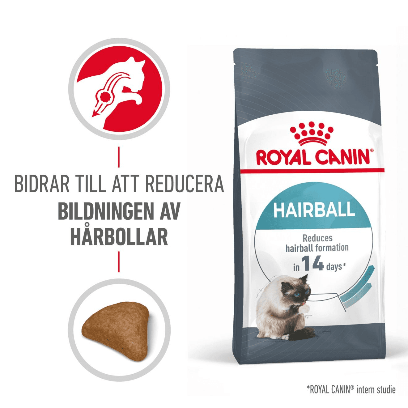 Royal Canin Hairball Care Adult Torrfoder för Katt 2 kg