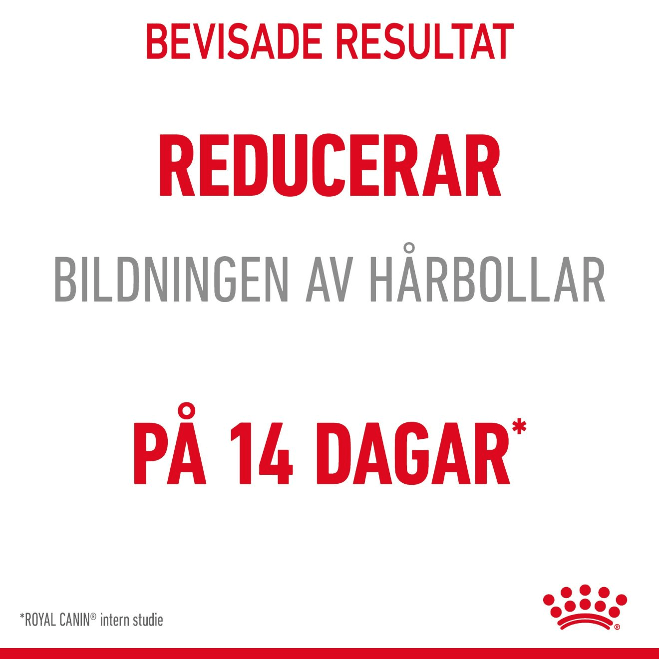Royal Canin Hairball Care Adult Torrfoder för Katt 2 kg - produktbild 3