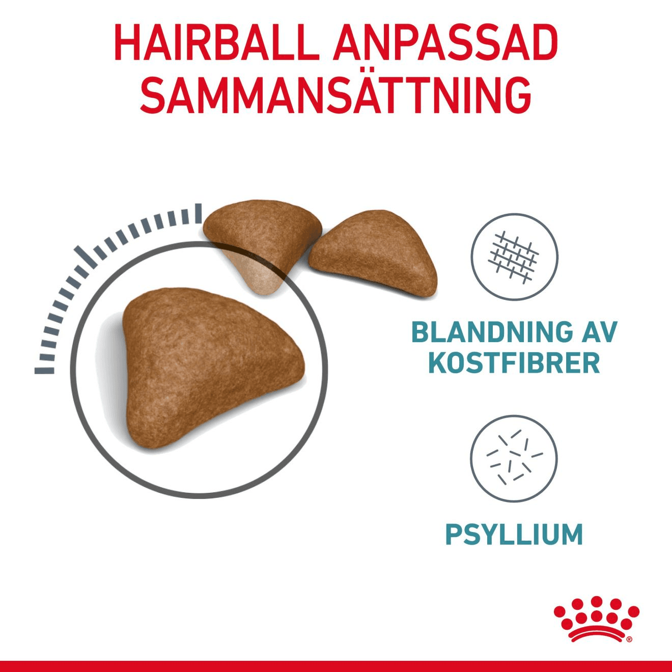 Royal Canin Hairball Care Adult Torrfoder för Katt 2 kg - produktbild 4
