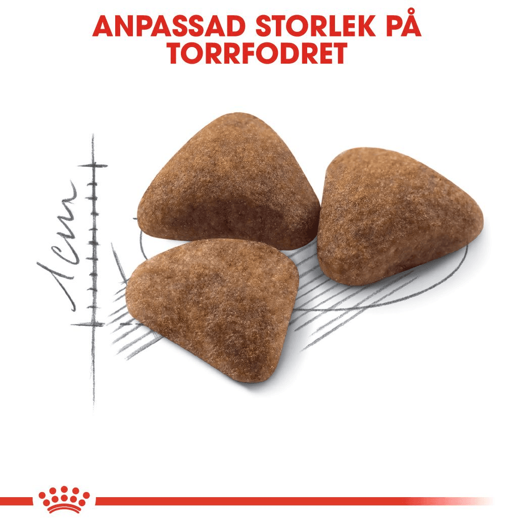 Royal Canin Indoor Adult Torrfoder för Katt 4 kg - produktbild 5