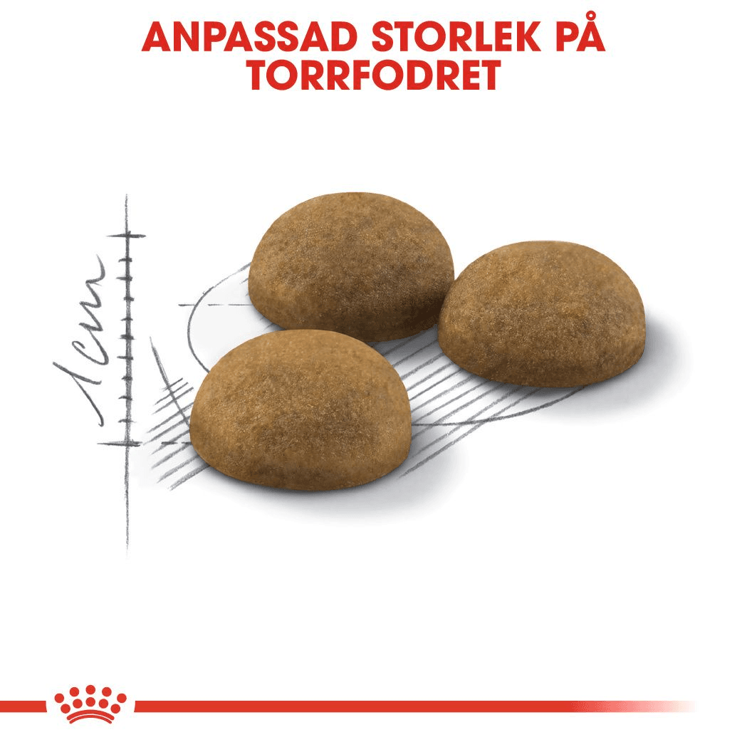 Royal Canin Indoor Long Hair Adult Torrfoder för Katt 10 kg - produktbild 4
