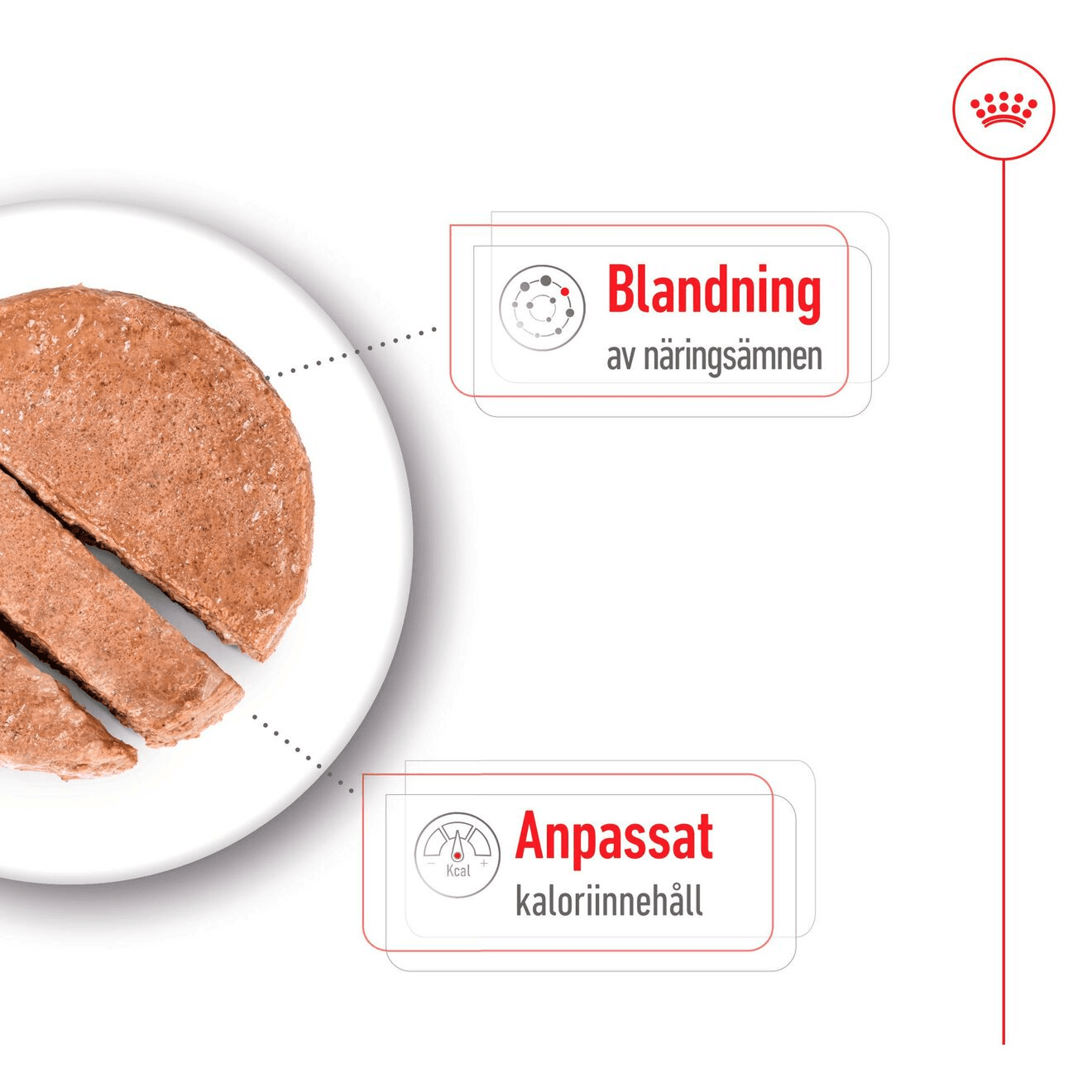 Royal Canin Mini Ageing Loaf Våtfoder för Hund 2,34 kg - produktbild 5