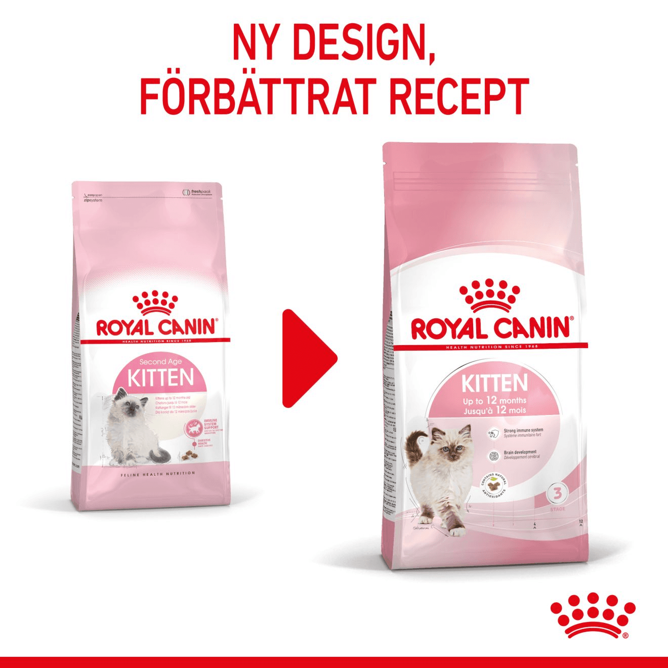 Royal Canin Kitten Torrfoder för Kattunge 4 kg - produktbild 2