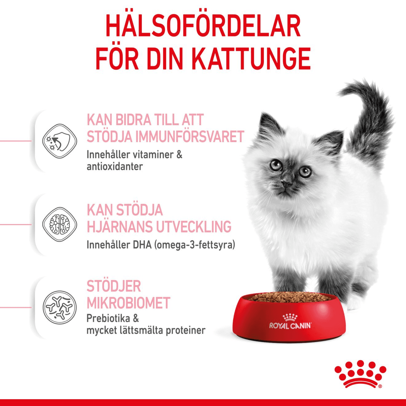 Royal Canin Kitten Torrfoder för Kattunge 4 kg - produktbild 4