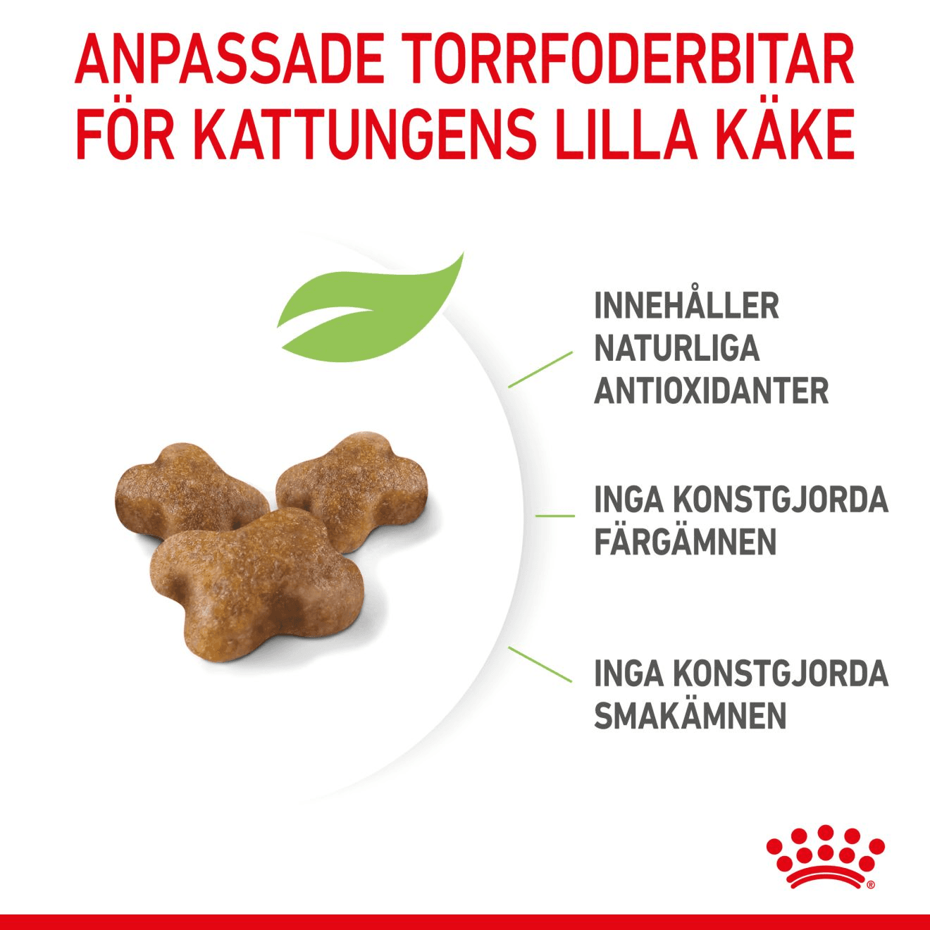 Royal Canin Kitten Torrfoder för Kattunge 4 kg - produktbild 5