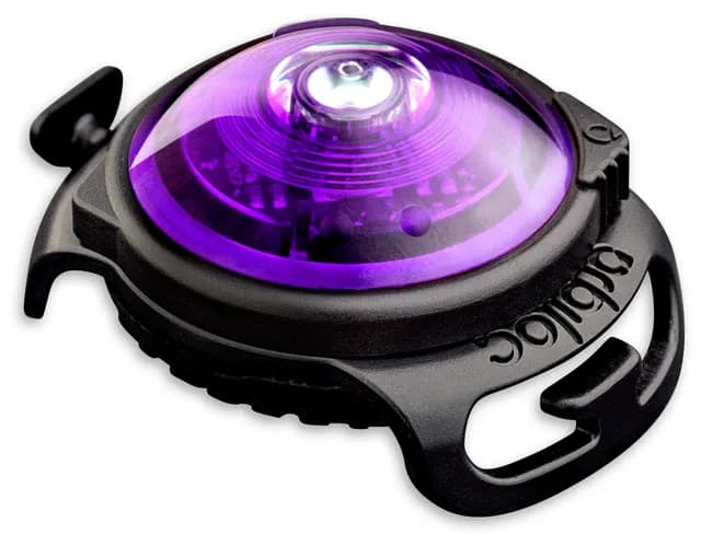 Orbiloc Lila Dual