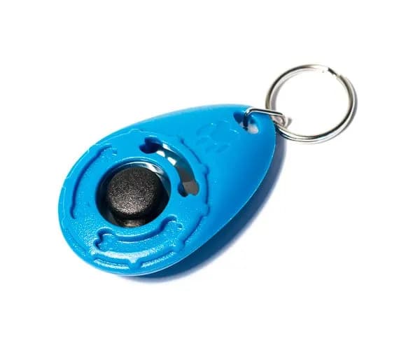 Active Canis Clicker Hund